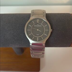 Skagen Silver and Black Watch